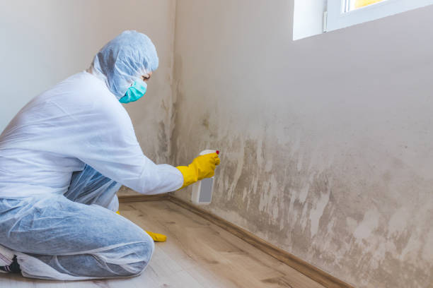 Licensed Bathroom Mold Removal service in Brighton, MI - WQB Mold Removal