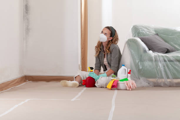 Reliable Bathroom Mold Removal contractor in Brighton, MI by WQB Mold Removal